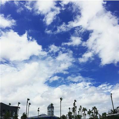 云博体育平台官网下载